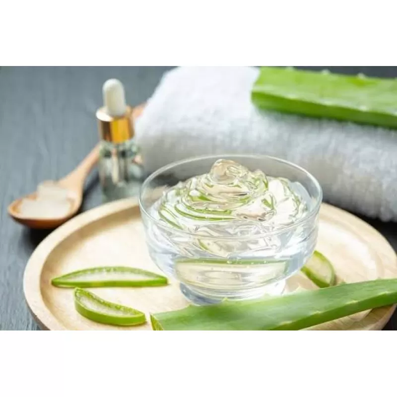 Aloe Vera: por qué aparece en tantos productos de bienestar