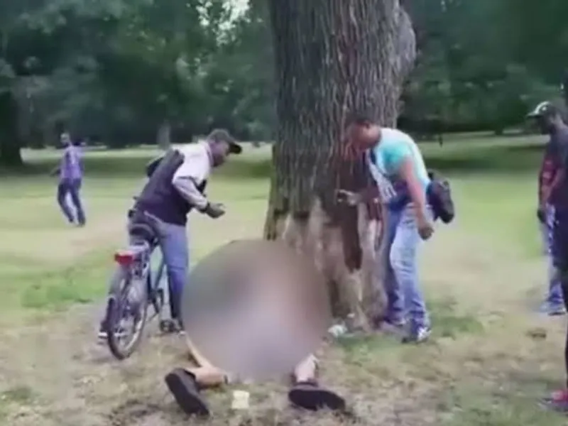 Sexo en el parque