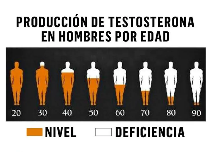 La edad y la decadencia de la testosterona: lo que todo hombre debería saber