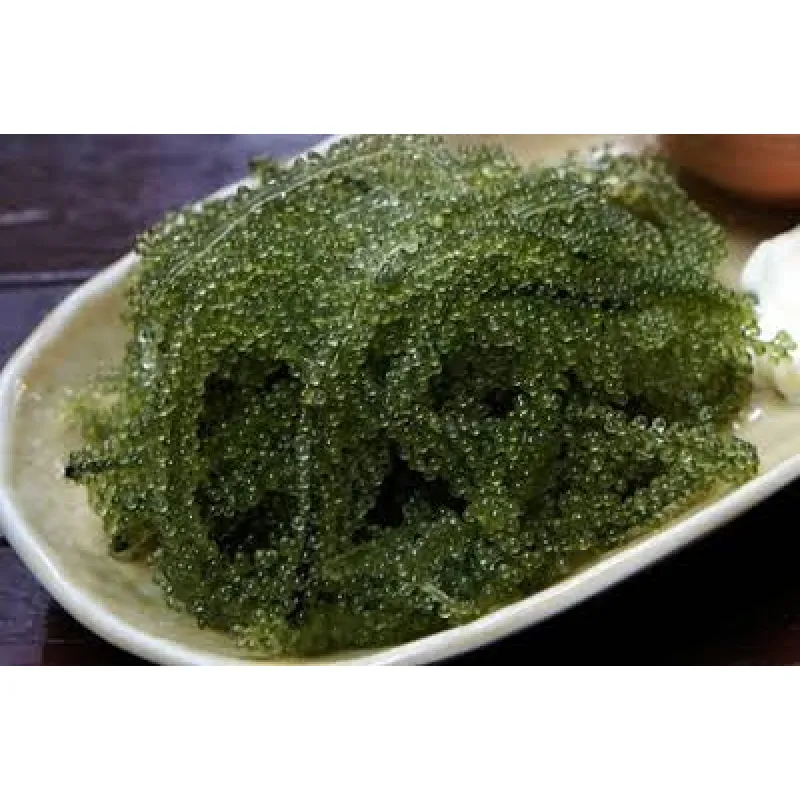 Espirulina: el superalimento que ganó popularidad en el naturismo