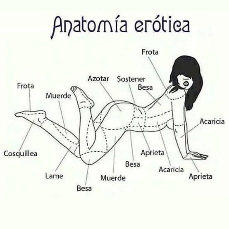 10 zonas erógenas que muchos olvidan y deberías explorar hoy