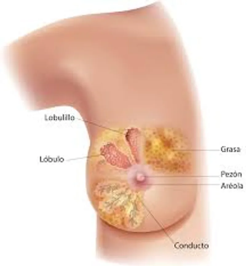 Te contamos como explorar tus pechos para prevención de Cáncer de mama