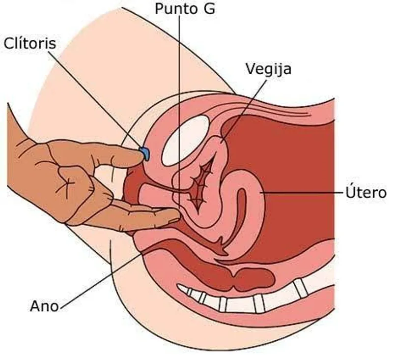 Maneras correctas de estimular el punto G