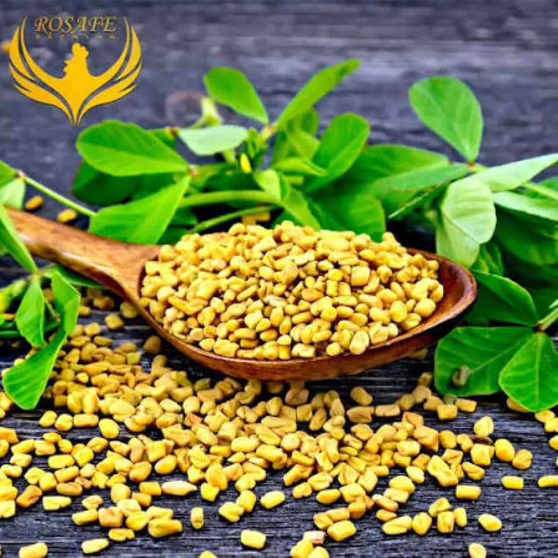 Fenogreco: una semilla ancestral en productos naturistas