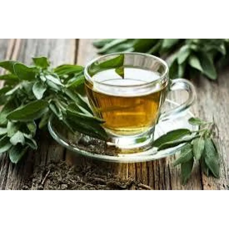Té verde: por qué sigue siendo un básico en el naturismo
