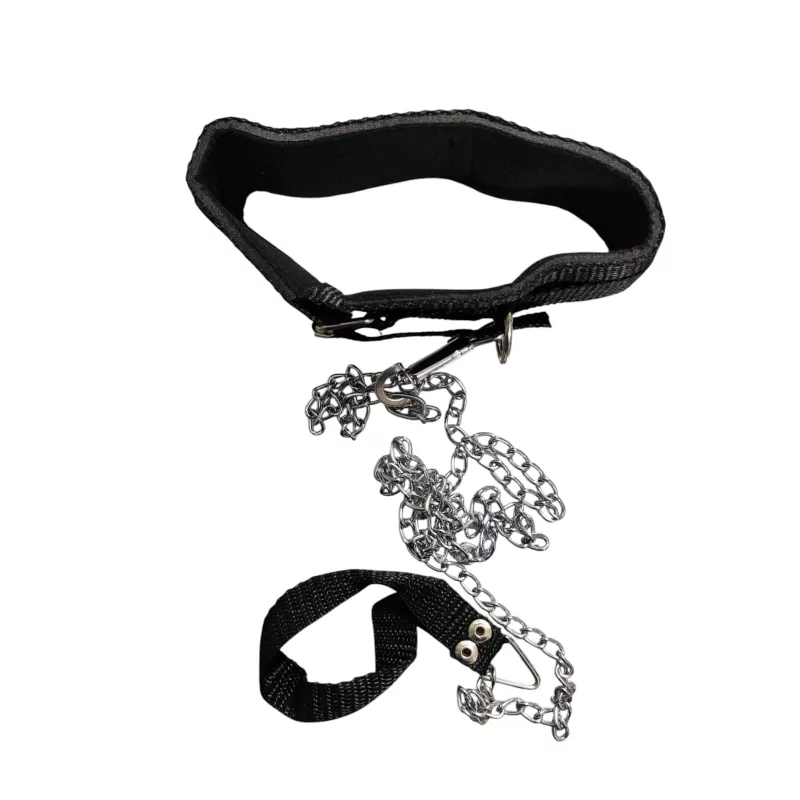 Relato erótico: Katia y su fantasía con collar y cadena, placer en modo perruno.