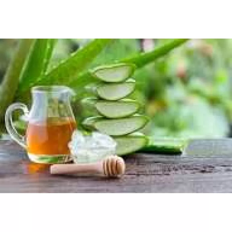 Aloe Vera: por qué es uno de los ingredientes más usados en productos naturistas